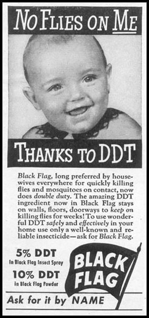 DDT33.jpg