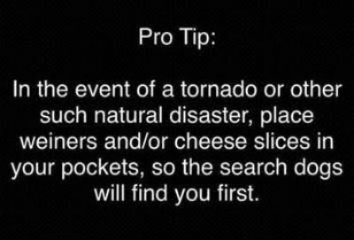 Disaster-Tip.jpg