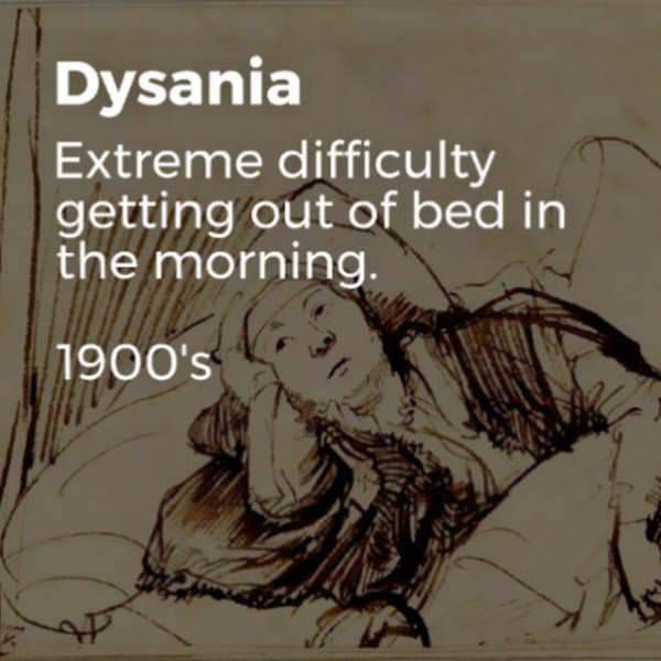 Dysania.jpg