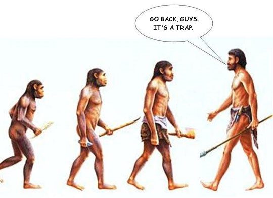 Evolution1.jpg