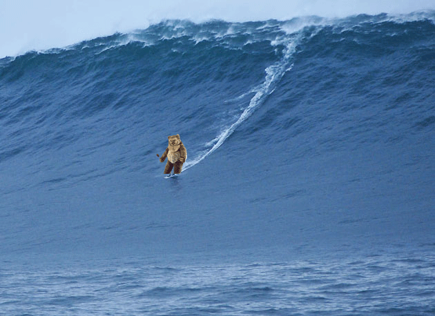 Ewok_surf_axier_wave_630.gif