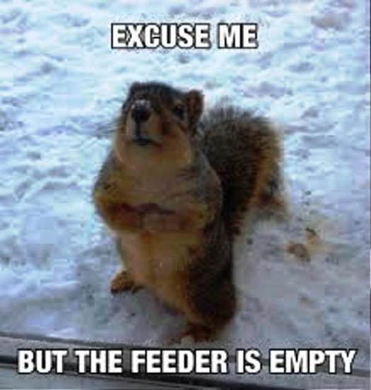 Excuse-Me-But-The-Feeder-Is-Empty-600x630.jpg