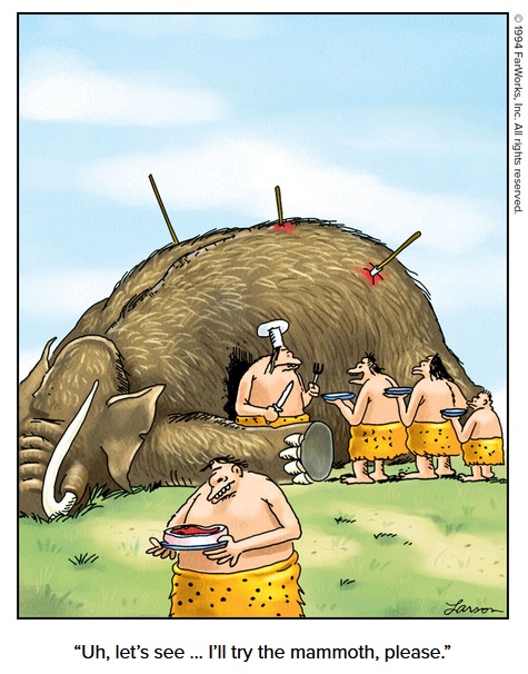 FSMammoth26.jpg