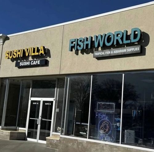 Fish-06651753582689.jpg