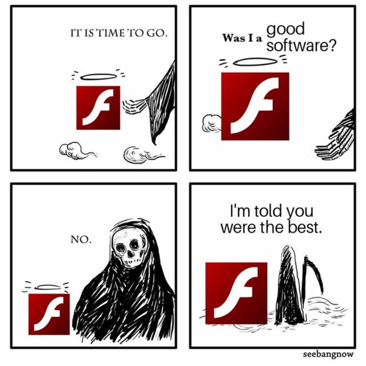 Flash.jpg