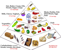 FoodPyramidMain1.png