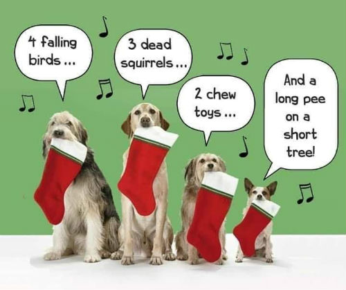 Four-Dogs-of-Christmas.jpg