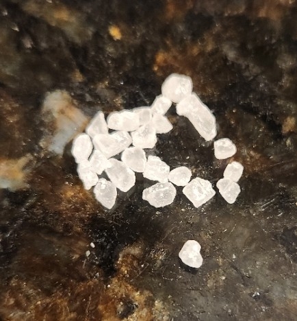 FrogSalt2.jpg