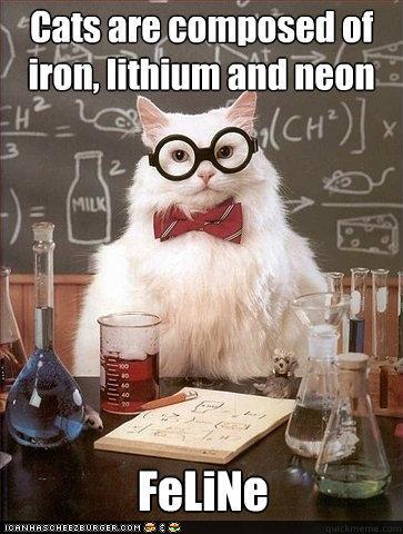 Funny-Pictures-Chemistry-Cat.jpeg