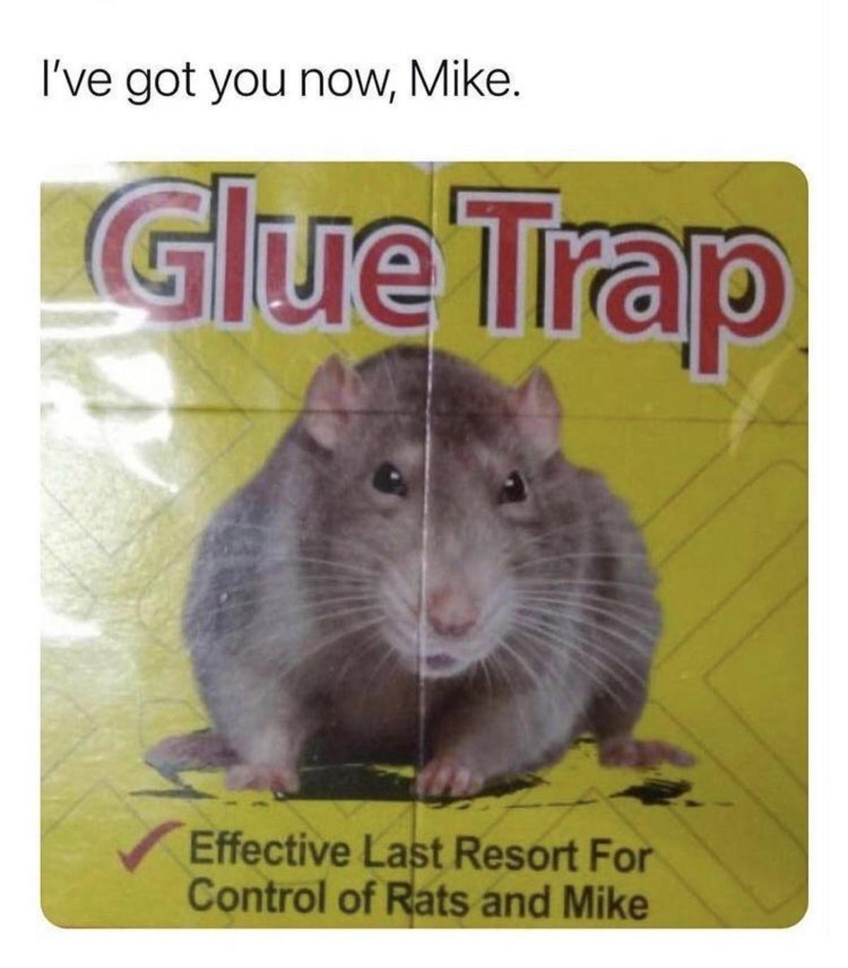 Get Mike.jpg