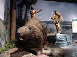 Giant-Beaver.jpg