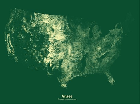 GrassMap.jpeg