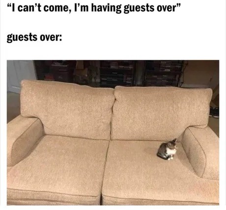 Guests.jpg