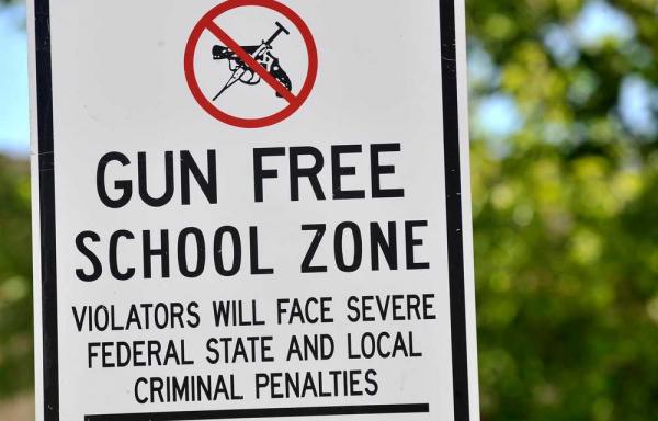 GunFreeSchoolZone.jpg