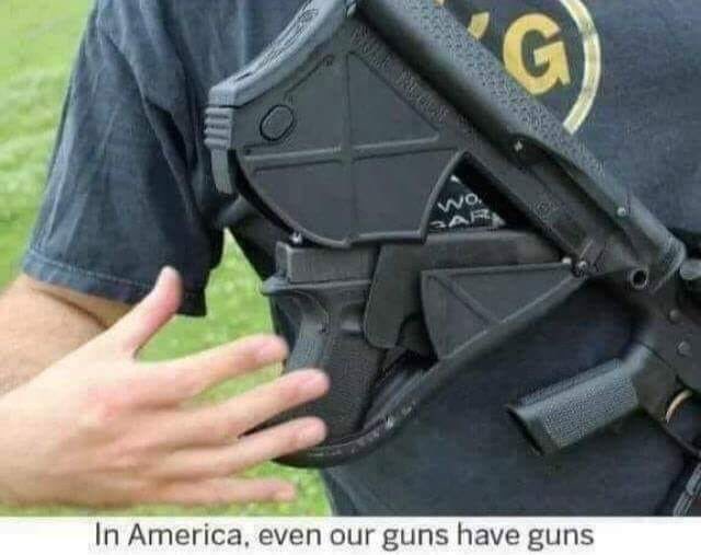 [Image: Guns1.jpg]