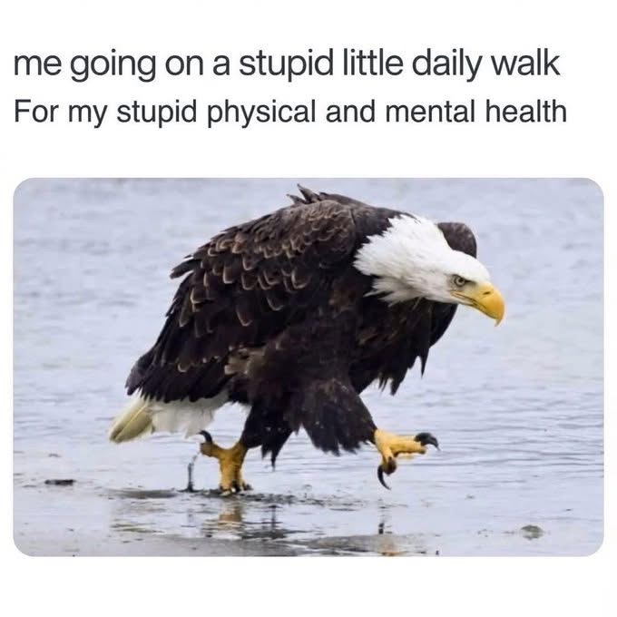 Healthy.JPG