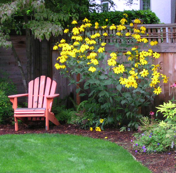 Herbstonne-rudbeckia.jpg