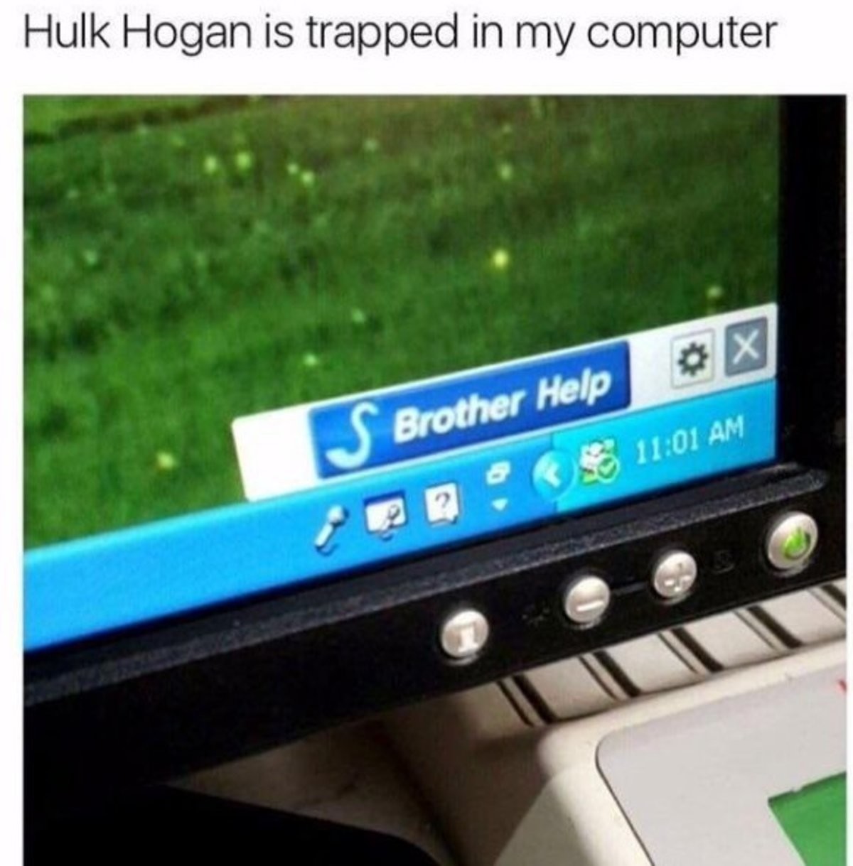 Hulk.jpg