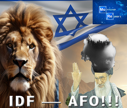 IDF-AFO.jpg