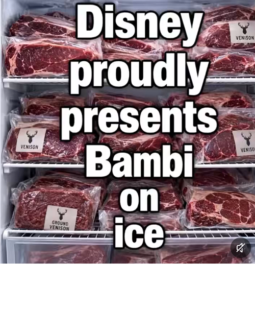 IMG_7982.PNG