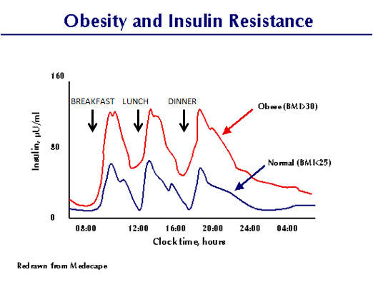 InsulinResistance.jpg