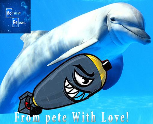 KamikazeDolphin.jpg