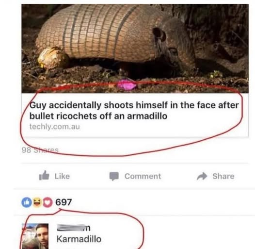Karmadillo.jpg