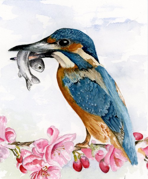 Kingfisher_watercolor(1).jpg