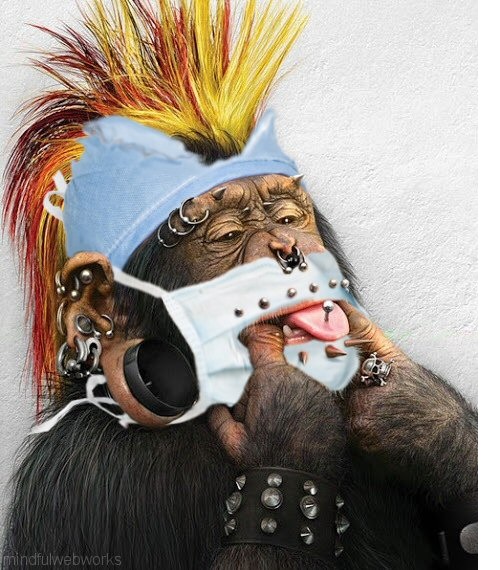 MAskedPunkMonkey.jpg