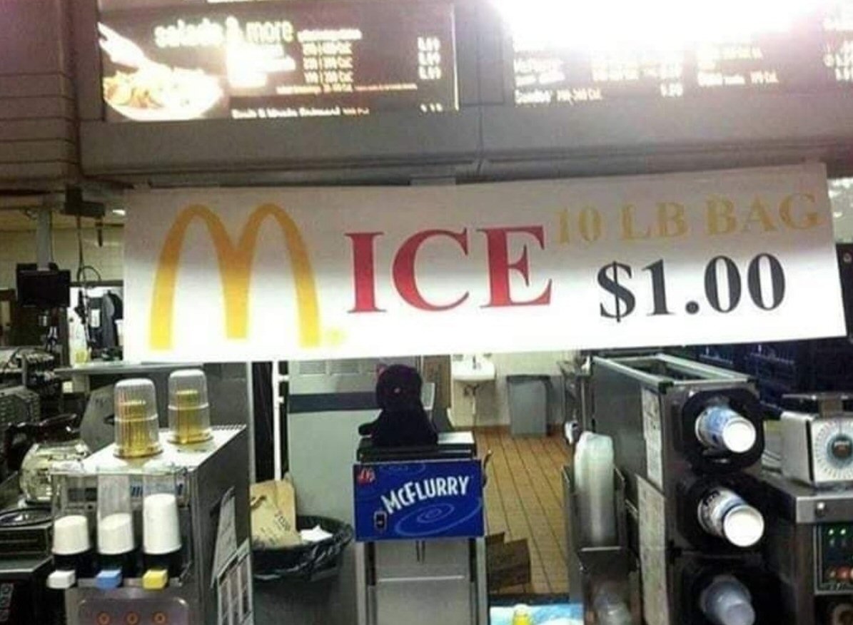 Mice.jpg