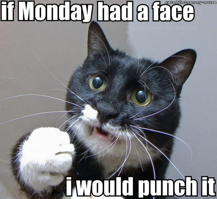 Monday-punch.jpg