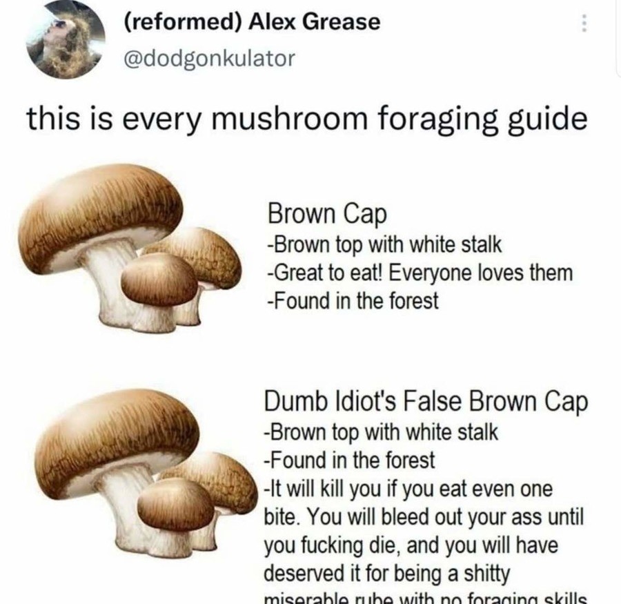 Mushroom.jpg