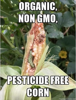 Non-GMO-Corn.jpeg