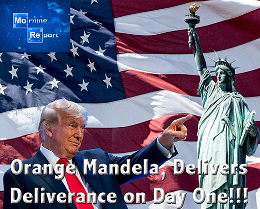 OrangeMandelaDelivers.jpg