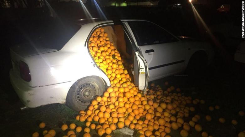 Oranges.jpg