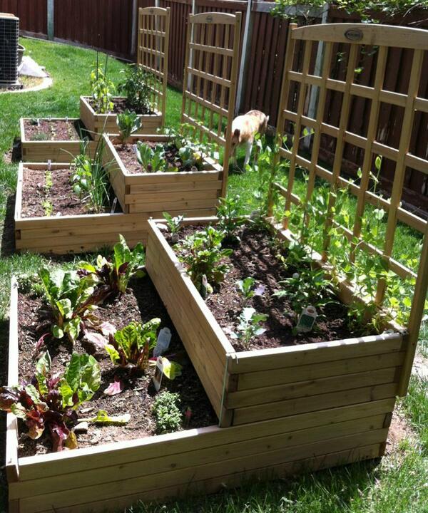 OurRaisedBeds.jpg