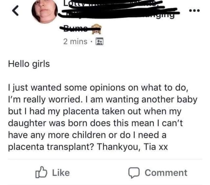 Placenta.jfif