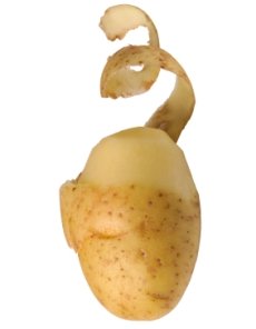RotatoExpress-Potato.jpg