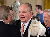 Rush-Limbaugh-FatCats.jpg