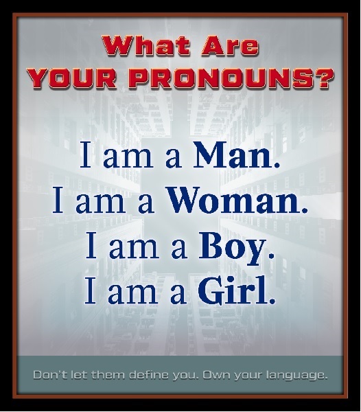 SanePronouns.jpg