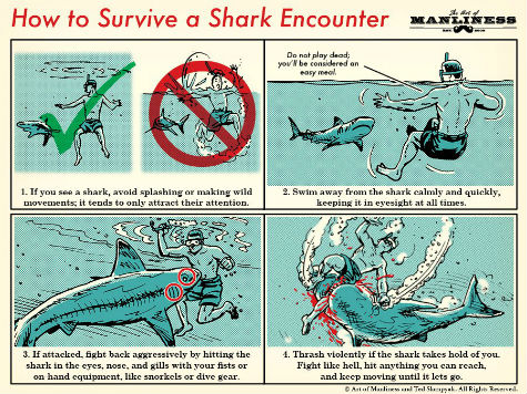 Shark-Encounter-1.jpg