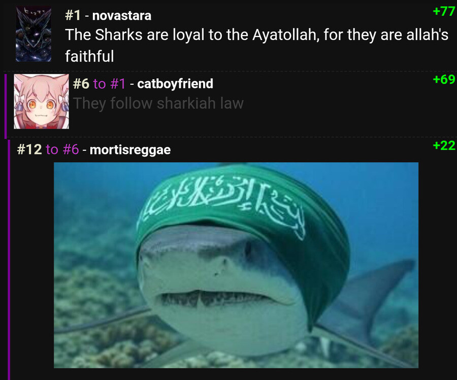 Shark1.jpg