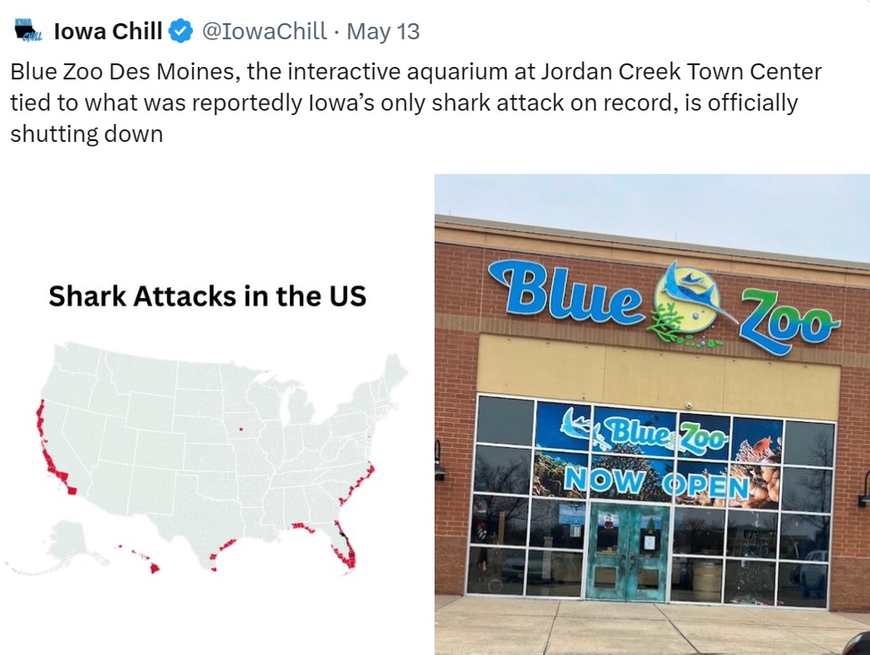 Sharks.jfif