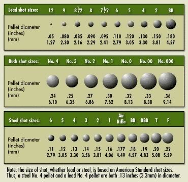 Shot-Size-Chart-Scaled.jpg