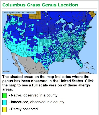 SorghumColumbusGrassMap.jpg