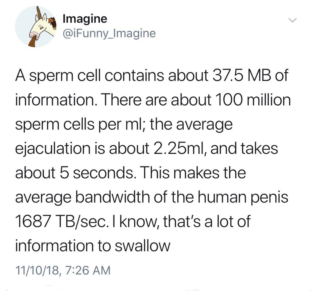 Sperm.JPG