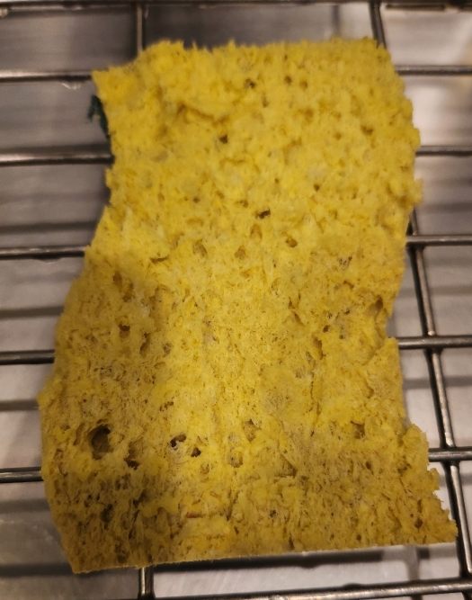 SpongeCrisis25.jpg