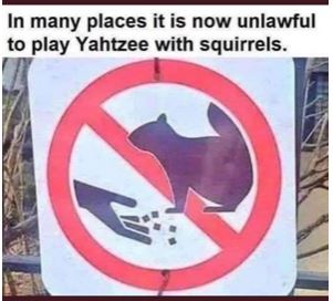 Squirrel Yahtzee.JPG