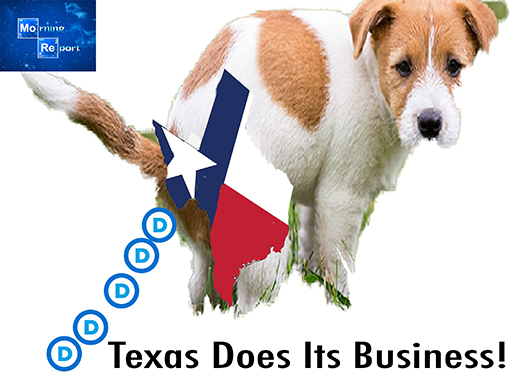 TexasBusiness.jpg