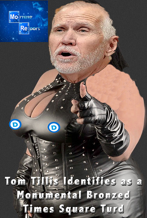 TillisTurd.jpg